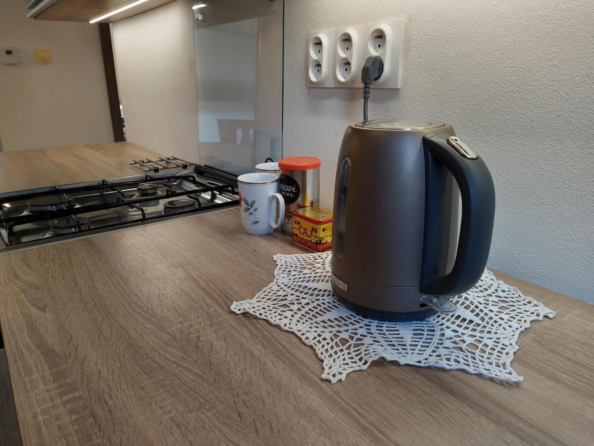 Apartman Banska Bystrica Fortnicka מראה חיצוני תמונה